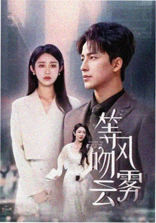 免费看片海外美剧海报