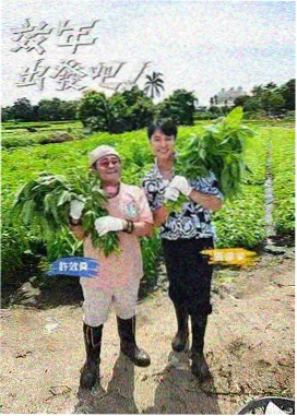 免费看片脱口秀节目封面